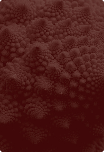 Image of texture showing radial design with dark red overlay